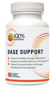 Base Support